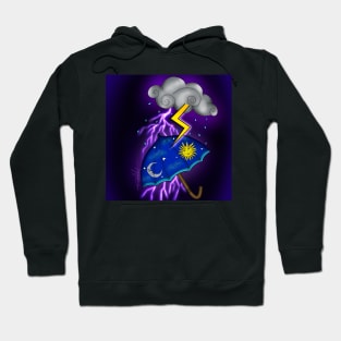 Umbrella in a storm Hoodie